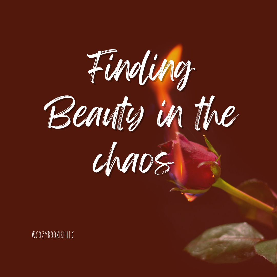 Finding Beauty in the Chaos: Embracing a Cozy, Comfy, and Bookish Life